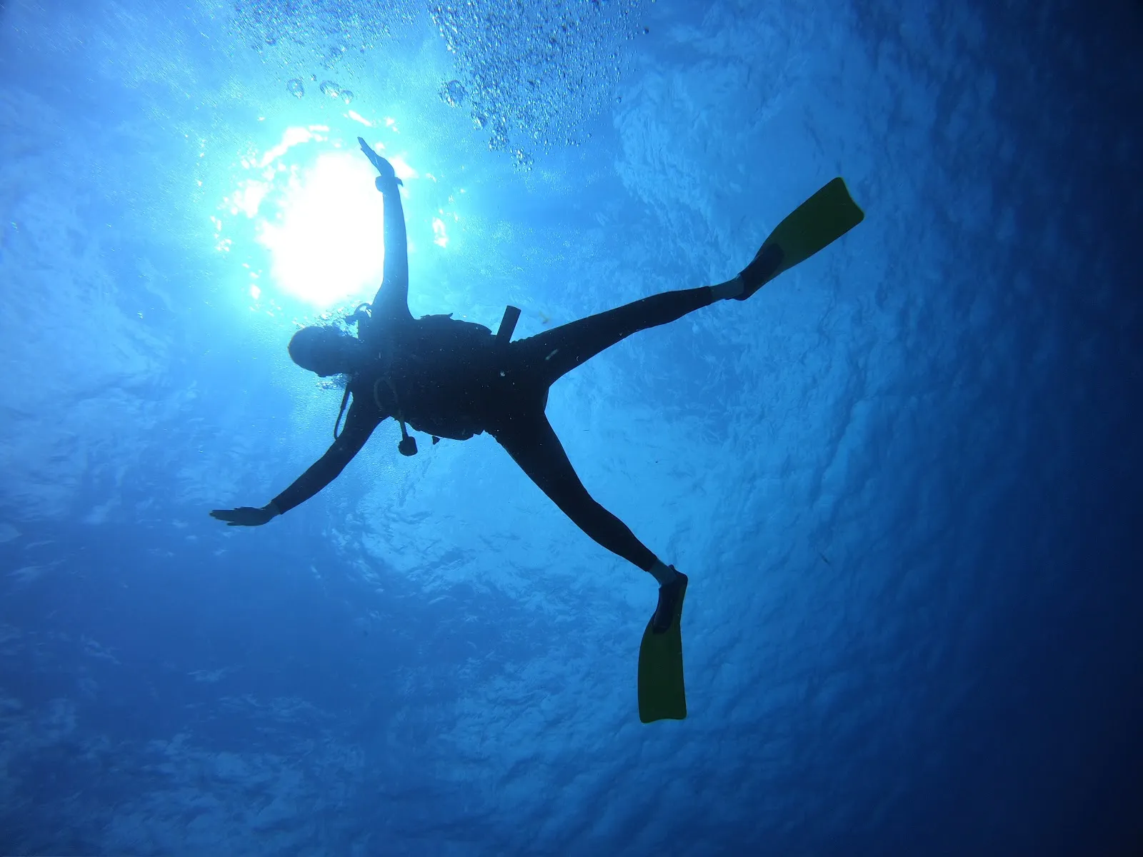 Barefoot Dive Center, photo via Google