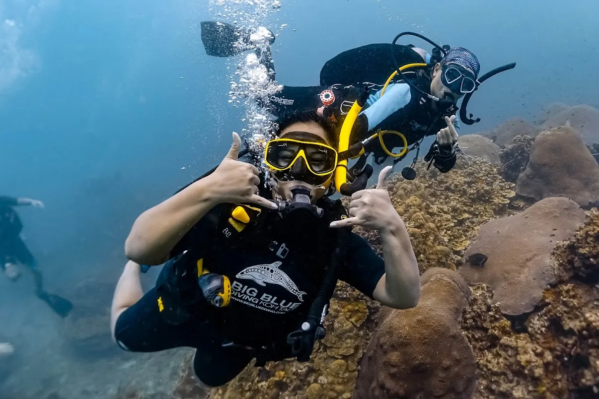 Big Blue Diving, photo via Google