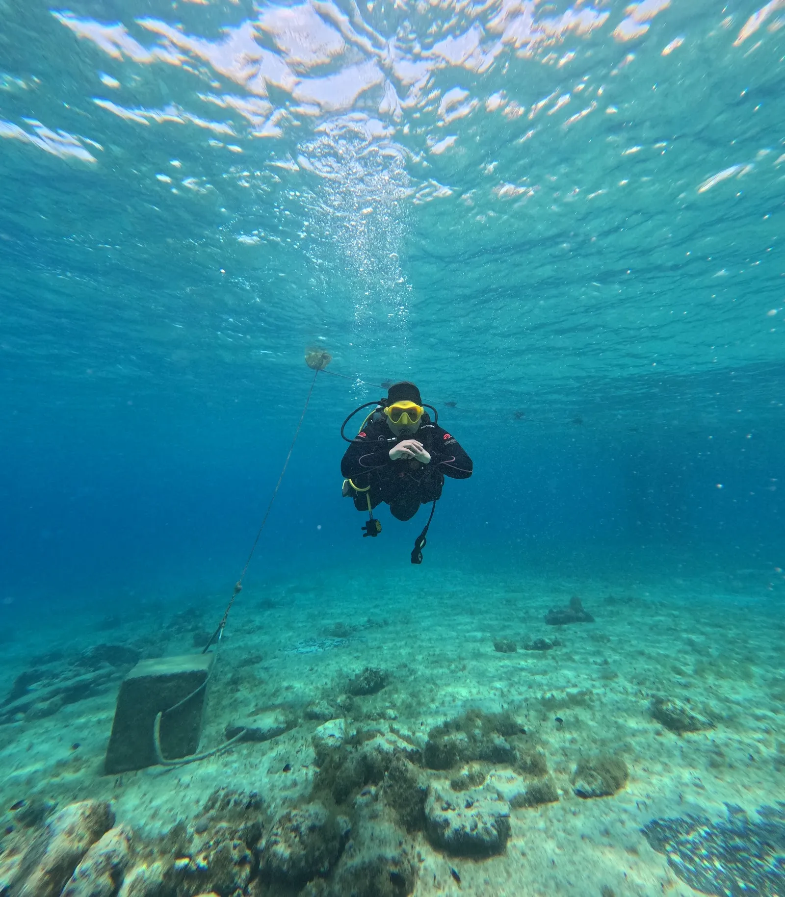 Cozumel Diving, photo via Google