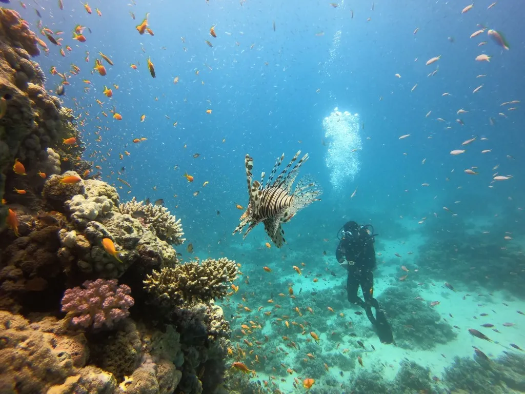 Diamond Red Sea, photo via Google