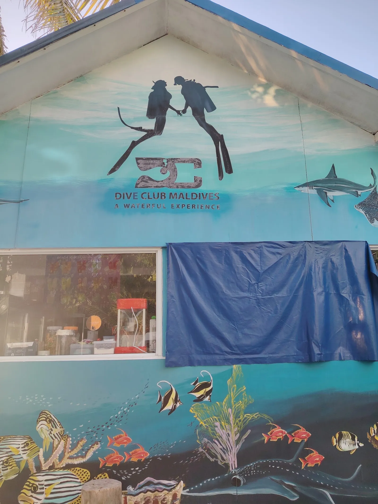Dive Club Maldives, photo via Google