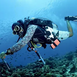 Divers Paradise Komodo, photo via Google