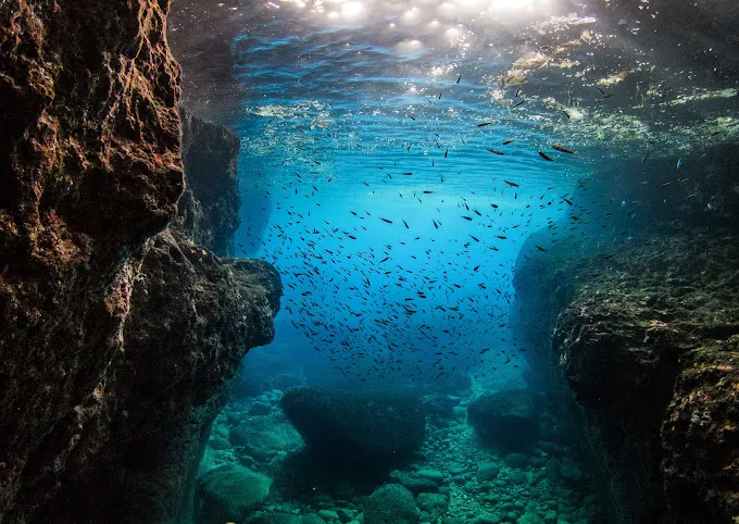 Gozo Dive - St Andrew's, photo via Google