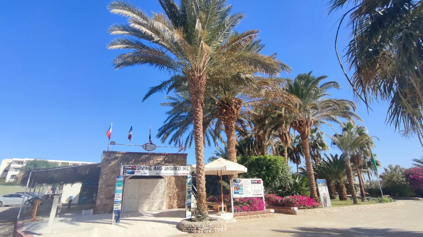 IDive Diving Center, photo via Google