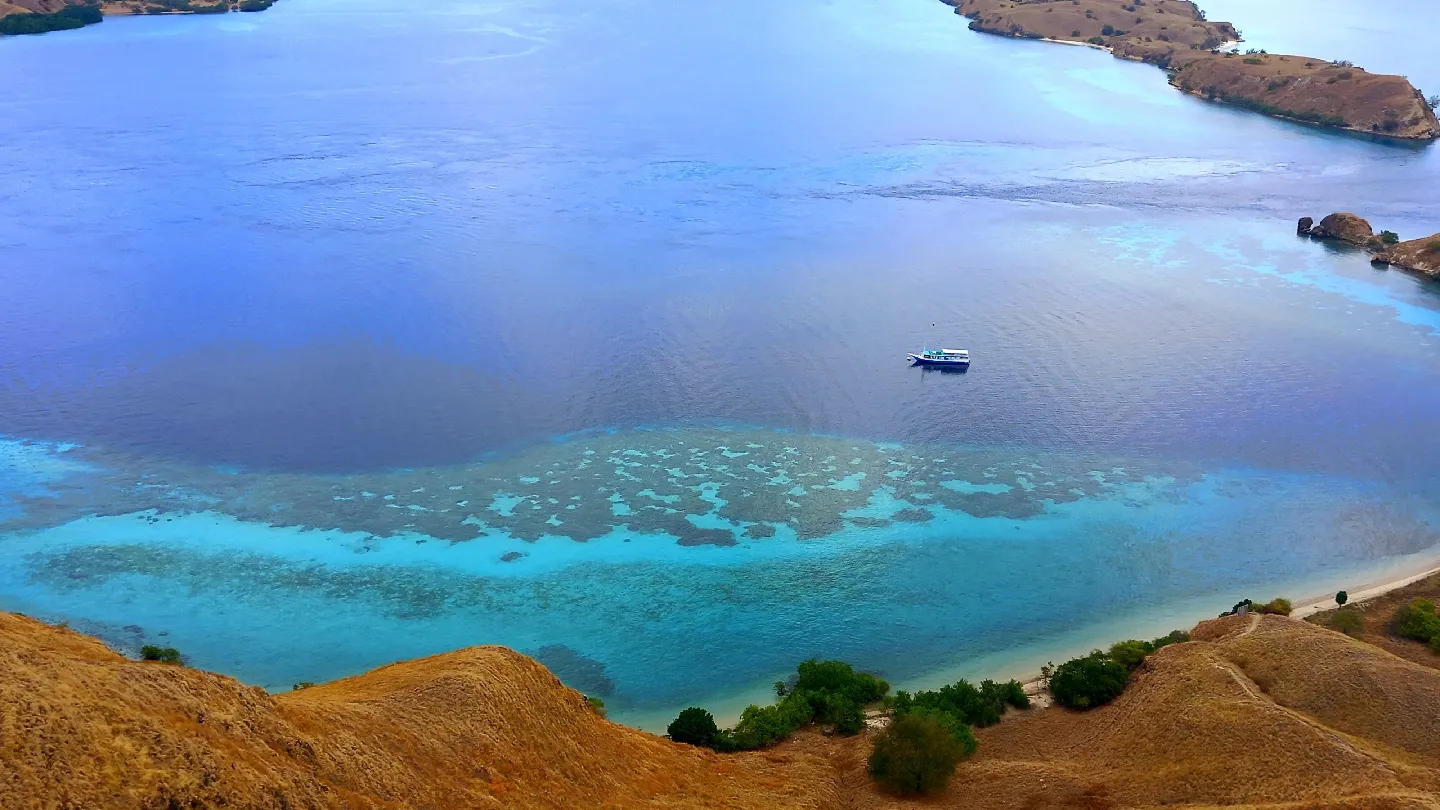 Maika Komodo Tour, photo via Google