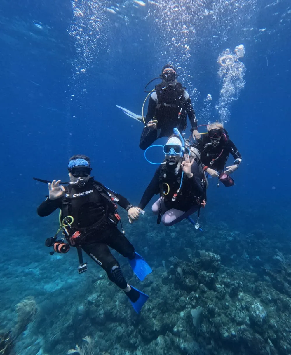 Moana Divers Roatan, photo via Google