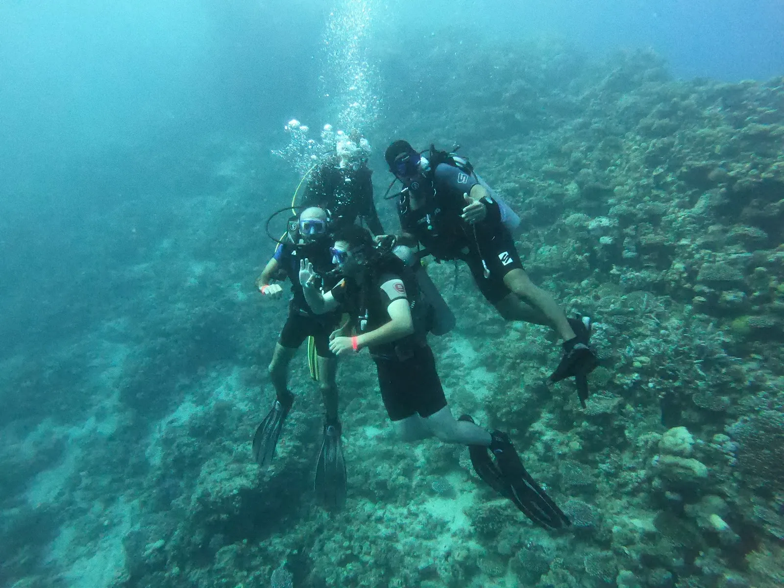 Octopus World Dahab Dive Center, photo via Google