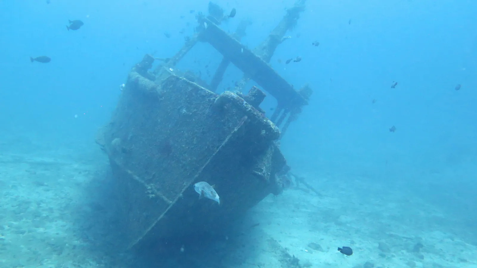 Padangbai Bali Dive Center, photo via Google