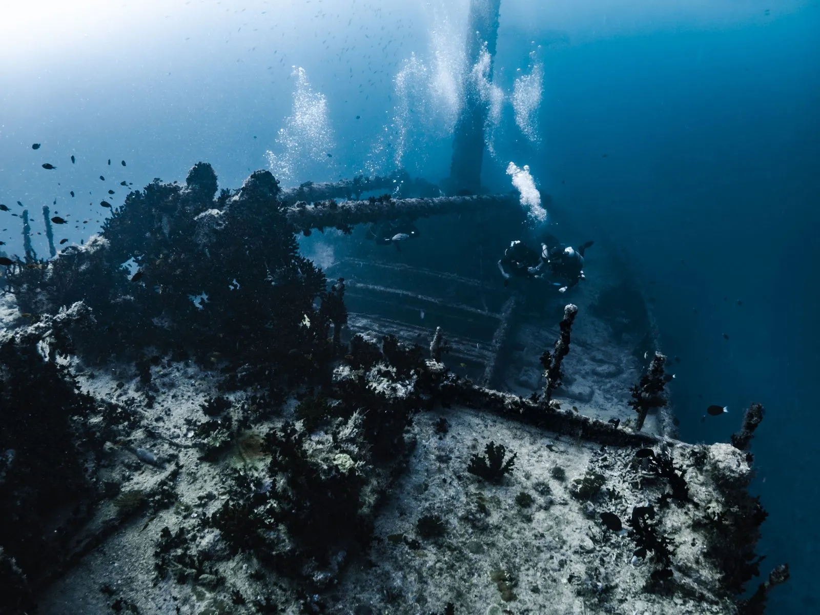 Shipwreck diving