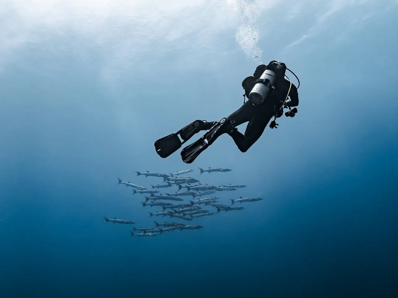 Scuba diving in Dahab