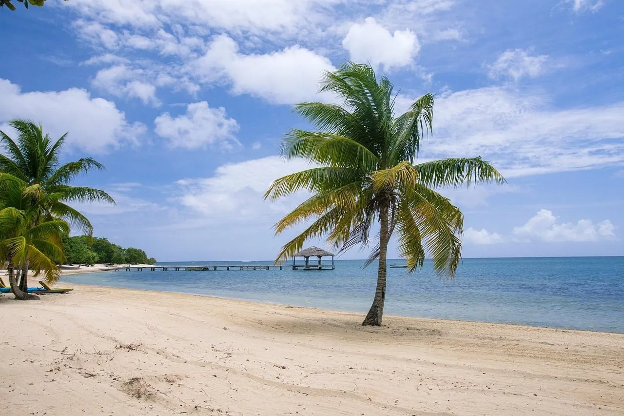 Scuba diving in Roatán