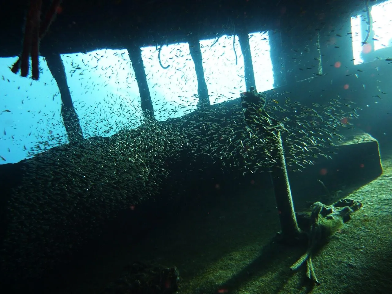 Scuba diving in Red Sea (Egypt)