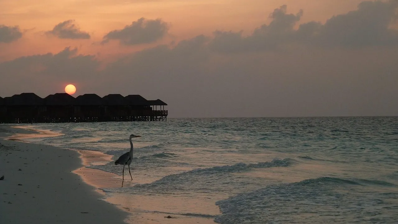 Scuba diving in Maldives