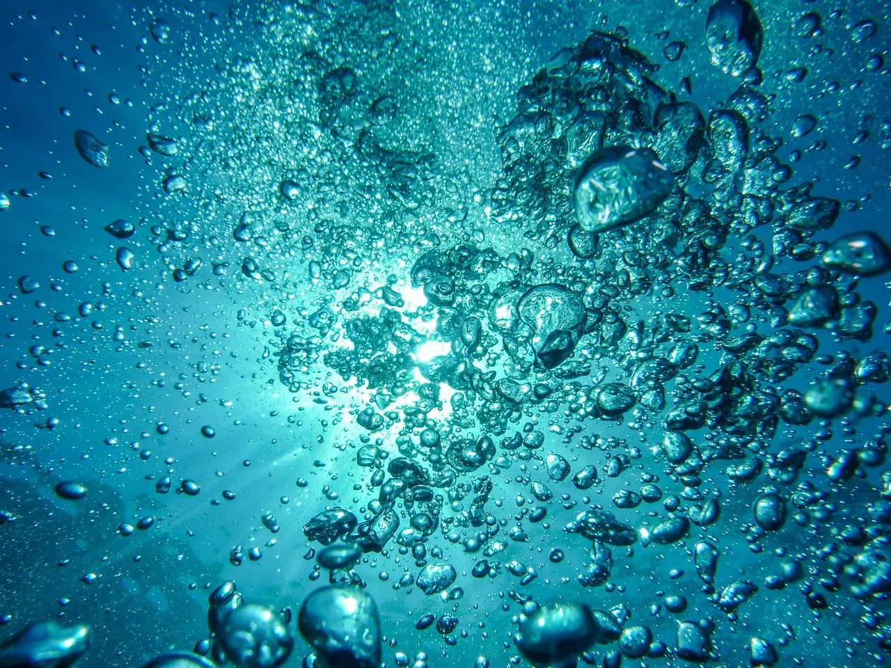 Scuba diving in Dahab