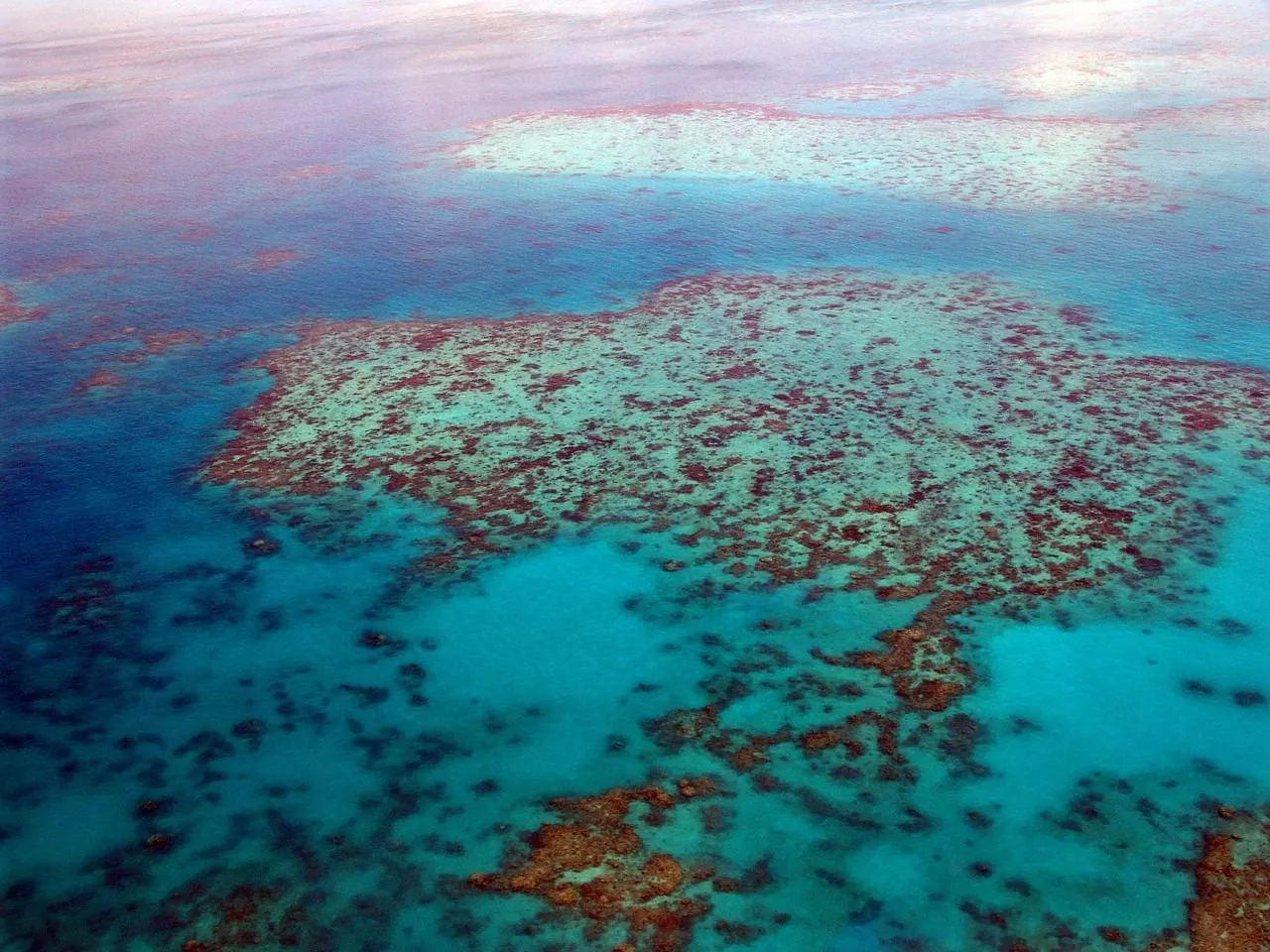 Scuba diving in Utila