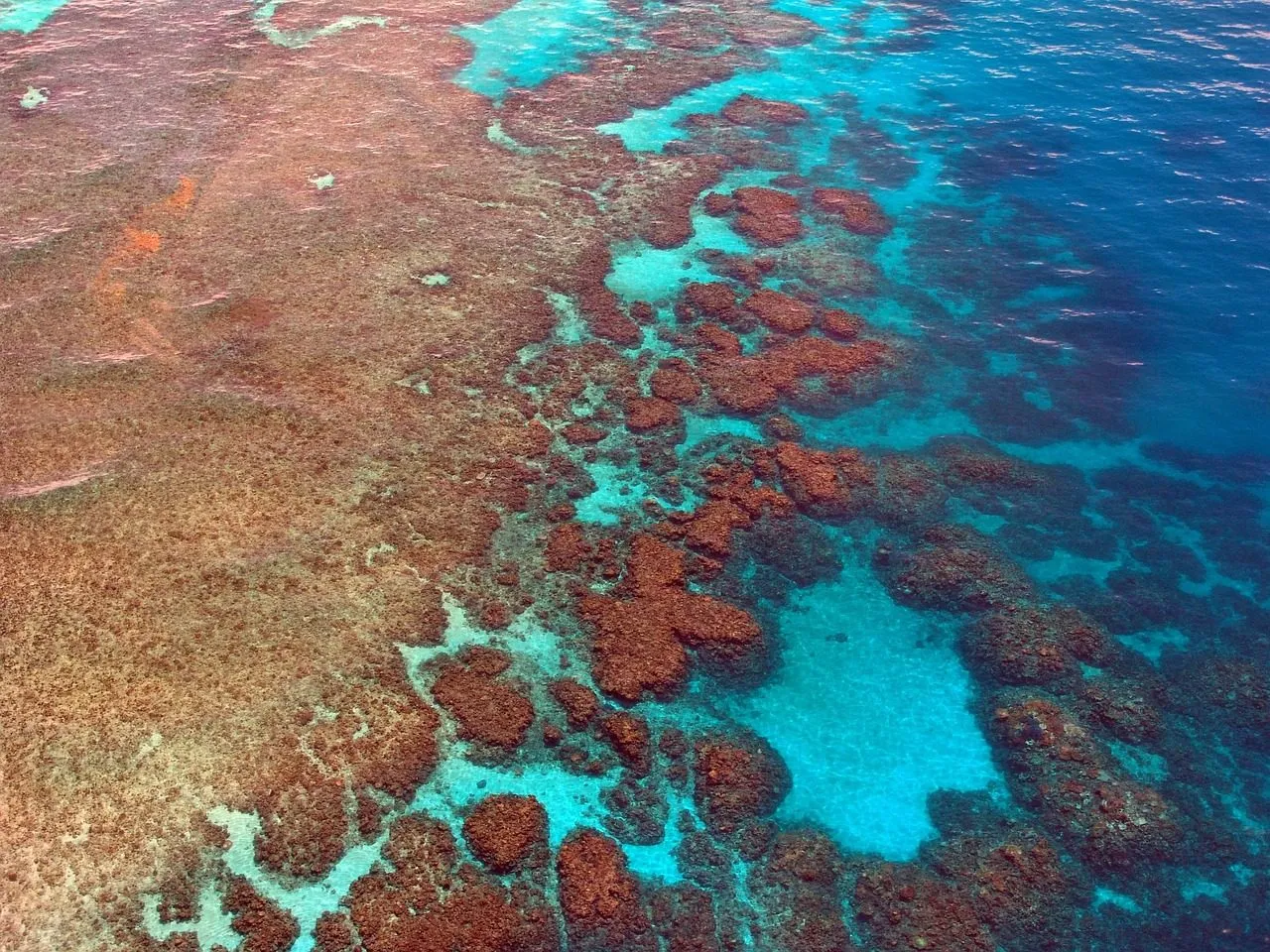 Scuba diving in Utila