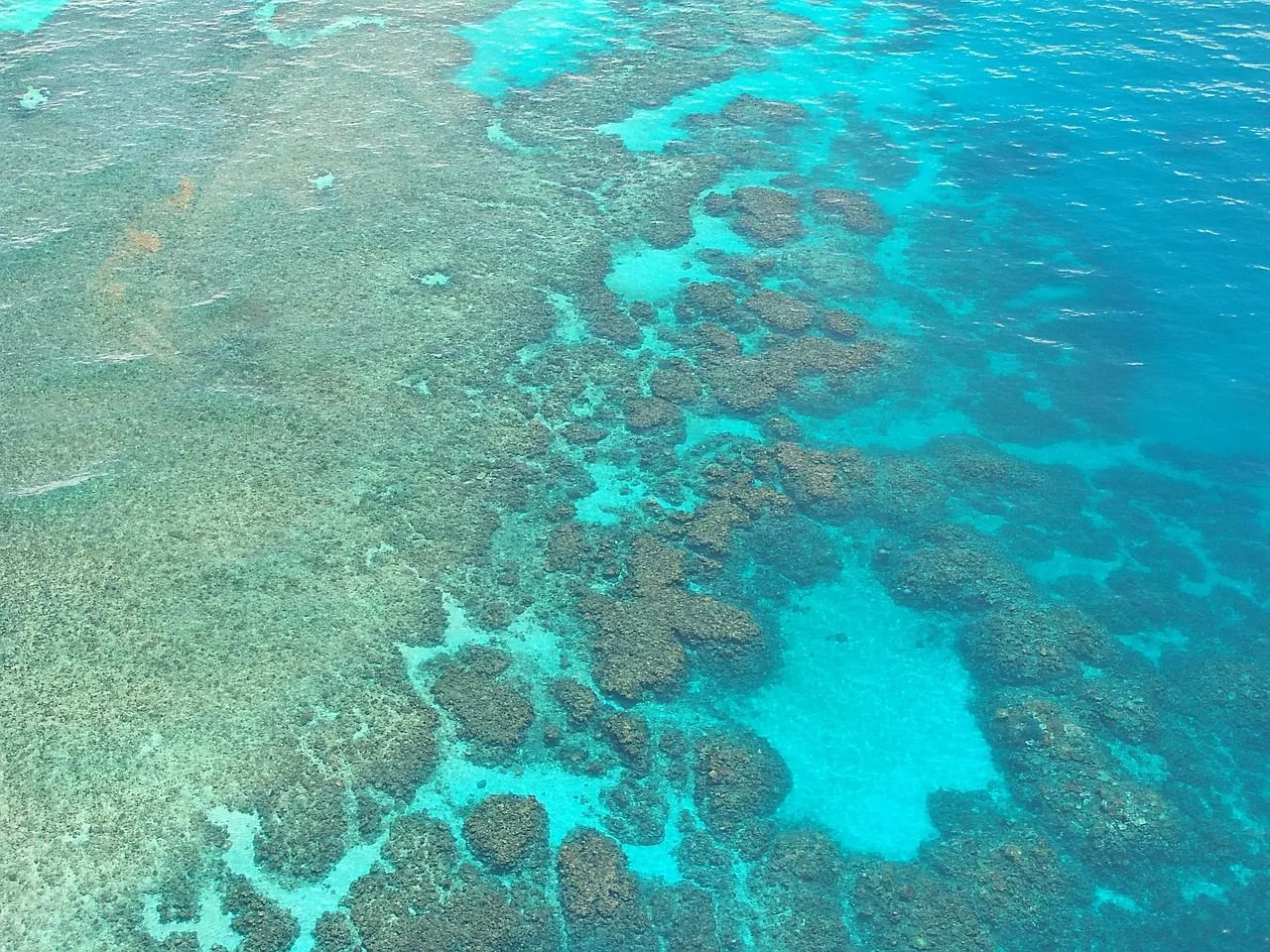 Scuba diving in Utila