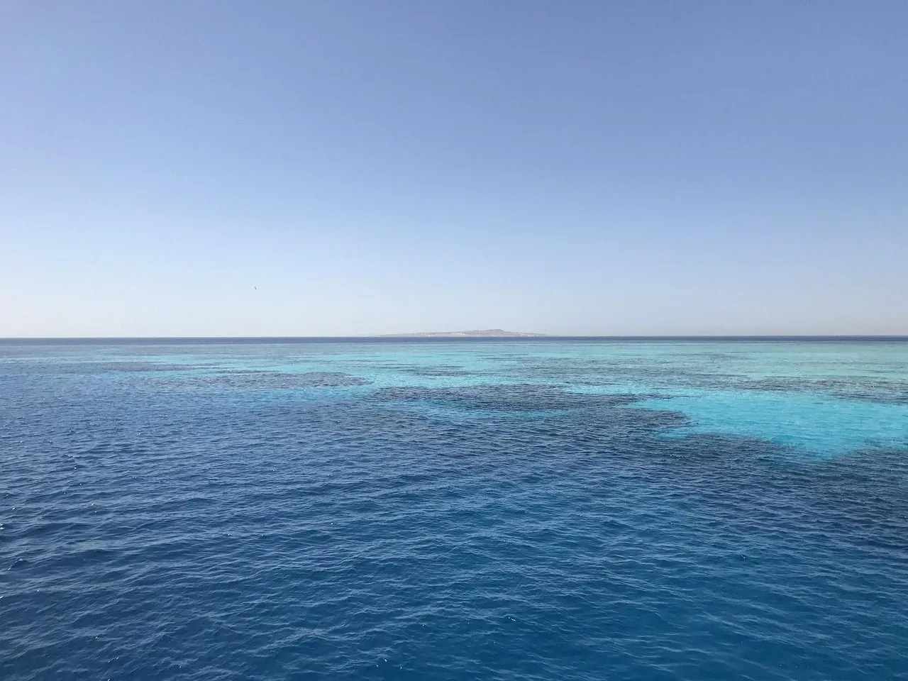 Scuba diving in Red Sea (Egypt)