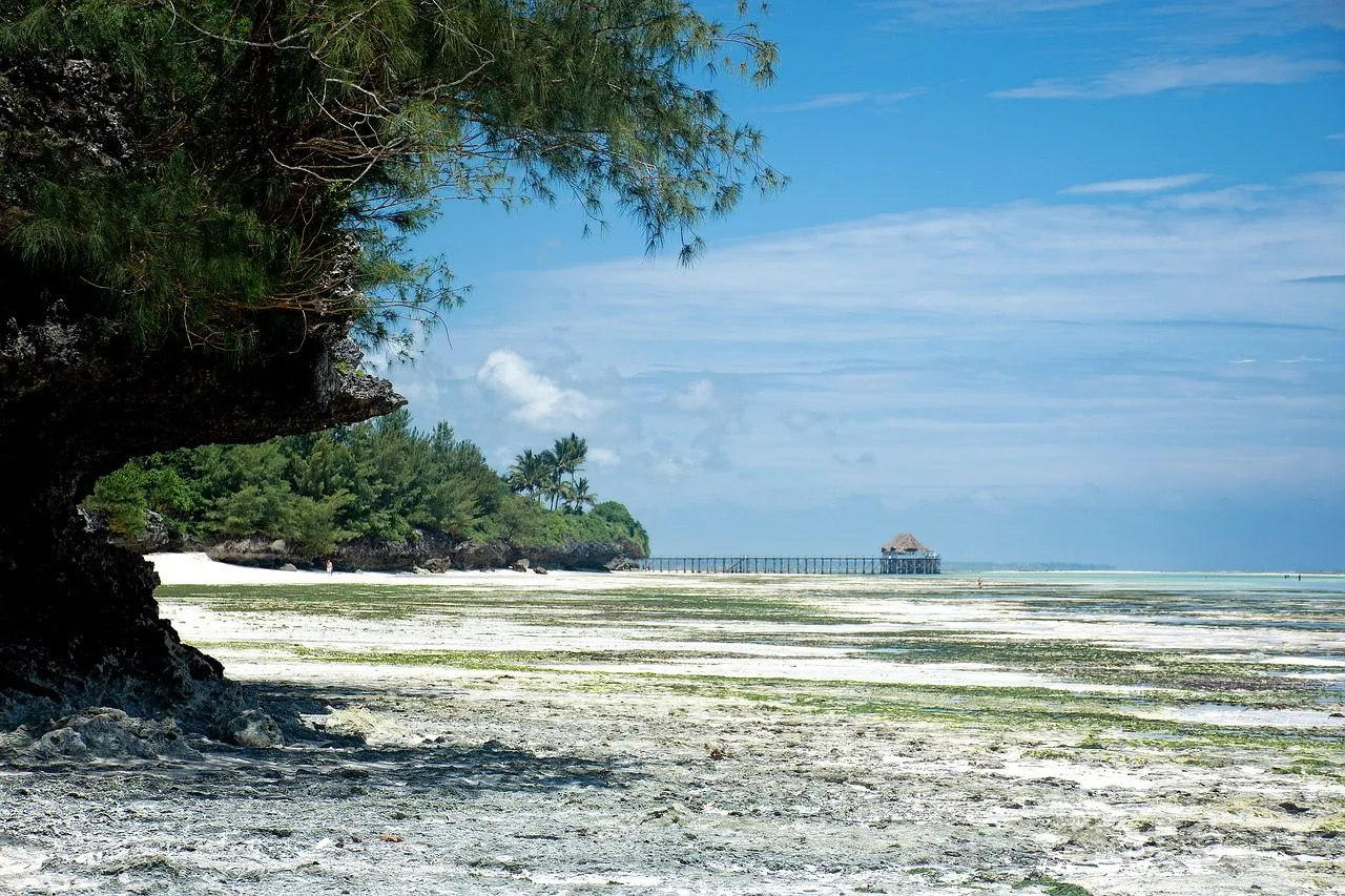 Scuba diving in Zanzibar