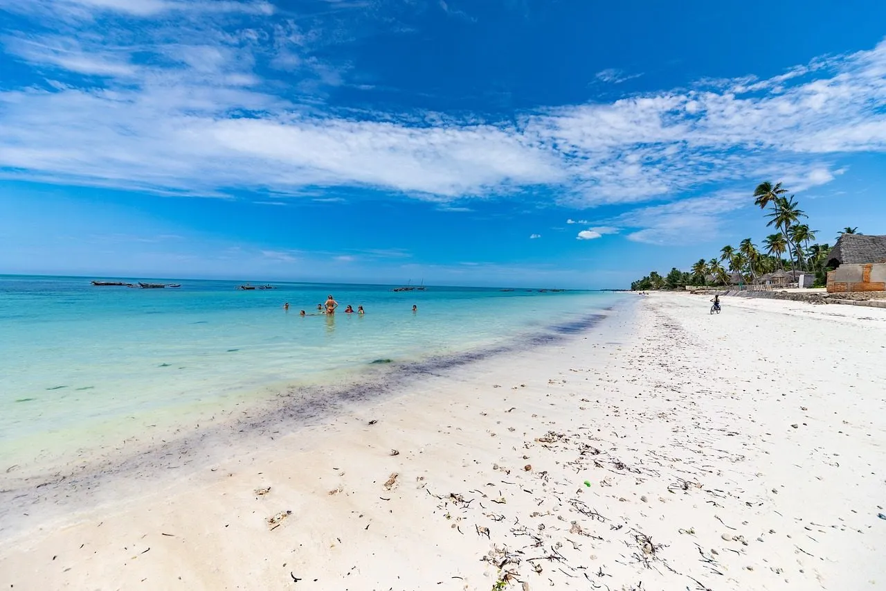 Scuba diving in Zanzibar