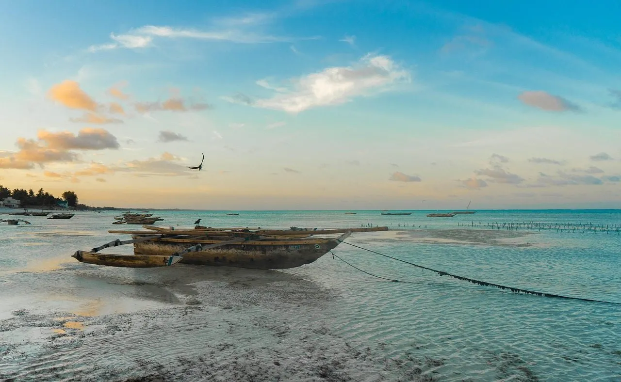 Scuba diving in Zanzibar