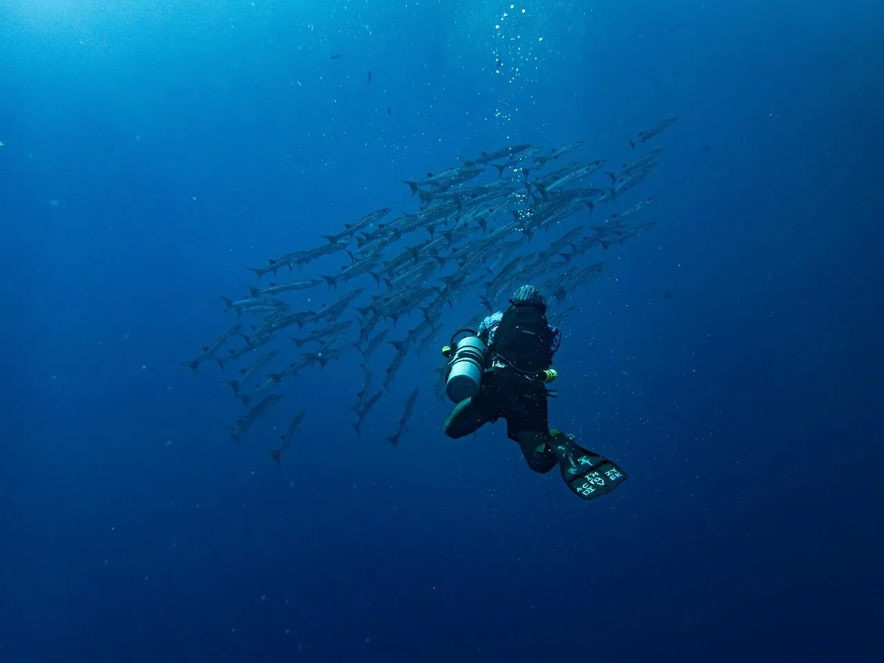 Scuba diving in Maldives
