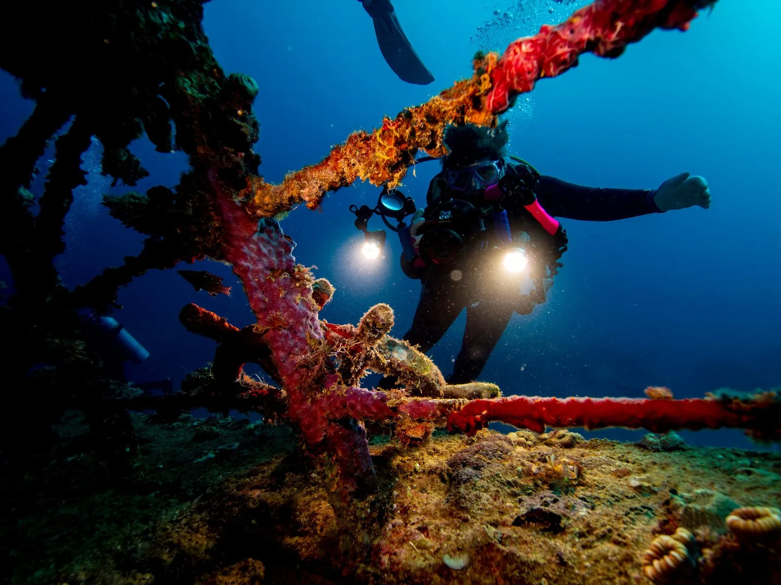 Coral reef