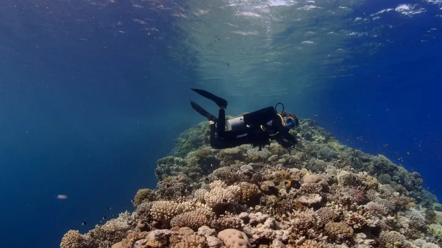Red Sea Tribe - Dahab, photo via Google
