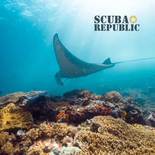 Scuba Republic, photo via Google