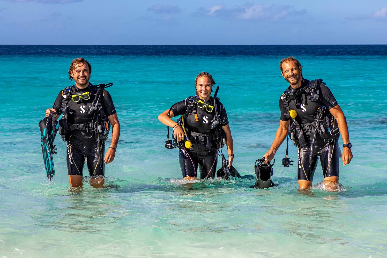 VIP Diving, photo via Google