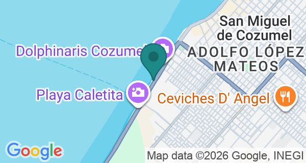 Map showing Dive Paradise's location