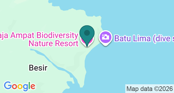Map showing Raja Ampat Biodiversity Eco Resort's location